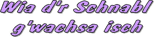 Wia d'r Schnabl
g'wachsa isch